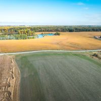 TBD Sawmill Pinckneyville IL images 5