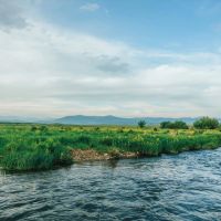 The Collard Ranch images 2
