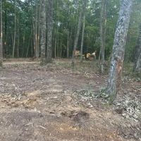Lot 3 Bear Knob images 2