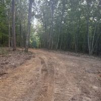 Lot 3 Bear Knob images 5
