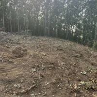 Lot 3 Bear Knob images 3