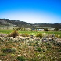 Dry Creek Ranch in Lakeview Oregon images 2