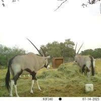 Wandering Wind Ranch images 2