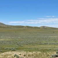 Ervay Basin Ranch images 4