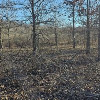 160 Acres with Two Homes in Sunflower County MS - Serene Fox Farms images 5