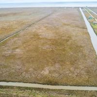 - 41 acres in 000 4th St. Gilchrist TX 77617 images 5