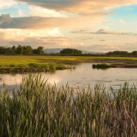 Story Creek Preserve