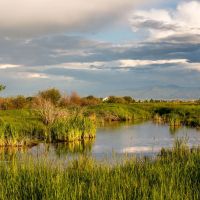Story Creek Preserve images 2
