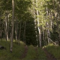 Elk Highlands Ranch images 2