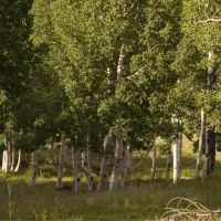 Elk Highlands Ranch images 5
