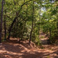 Watson Ranch images 5