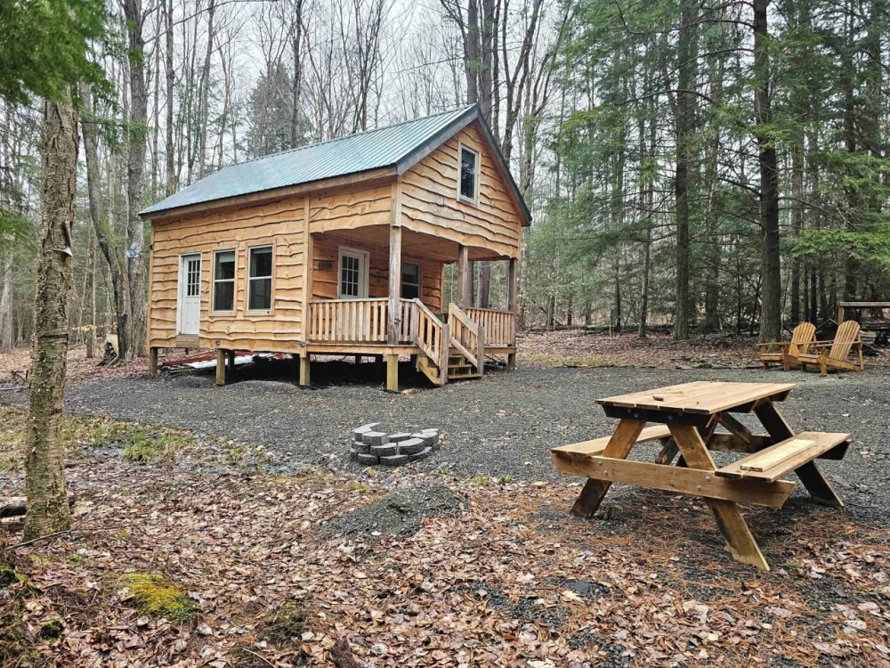 Cabin on 7 acres in Harford NY Owego Hill Road near State Forest and Greek Peak Mountain Resort featured image