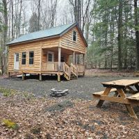 Cabin on 7 acres in Harford NY Owego Hill Road near State Forest and Greek Peak Mountain Resort