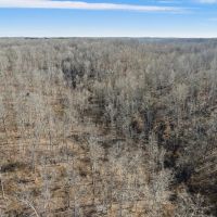 119 Acres in Beautiful Santa Fe TN images 2