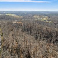 119 Acres in Beautiful Santa Fe TN images 5
