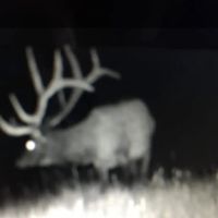 Purple Rock Ranch images 3