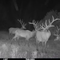 Purple Rock Ranch images 4