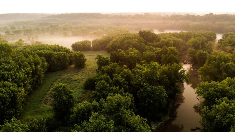 Schuyler County IL 122 Acres featured image