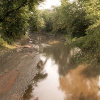 Schuyler County IL 122 Acres images 4