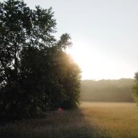 Schuyler County IL 122 Acres images 5