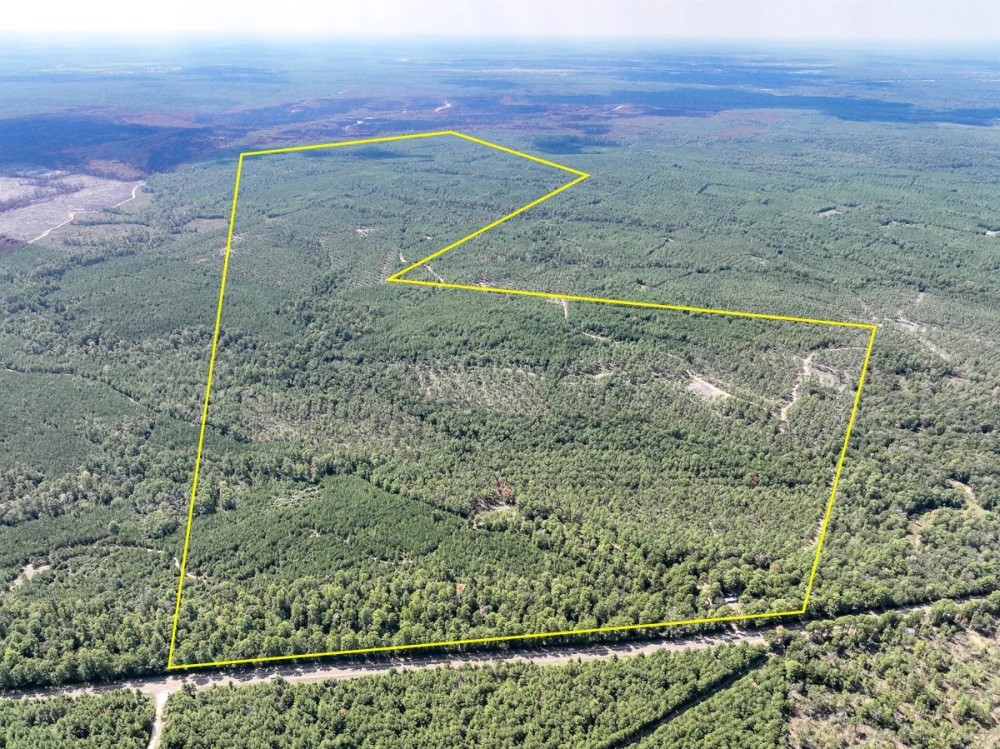 613 Acres FM 247 T-7 featured image