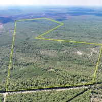 613 Acres FM 247 T-7