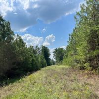 613 Acres FM 247 T-7 images 5