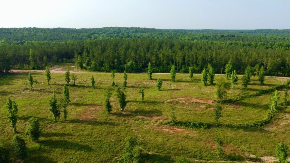 42 - acres in Lee county featured image