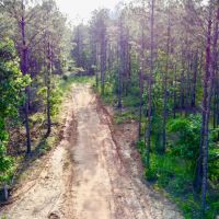 42 - acres in Lee county images 2