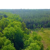 42 - acres in Lee county images 4