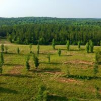 42 - acres in Lee county images 5