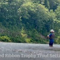 Large Riverfront Acreage for Sale images 3