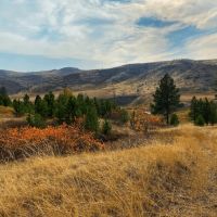 Four Creeks Sporting Ranch images 2
