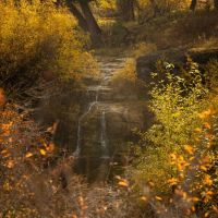 Four Creeks Sporting Ranch images 5