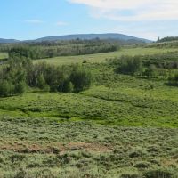 Lazy K Ranch