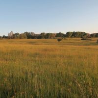 Lazy K Ranch images 3
