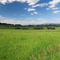 Lazy K Ranch images 5