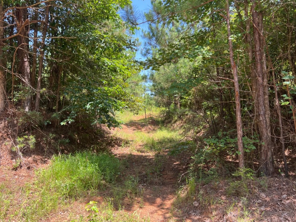 LA - Union 200 acres - featured image