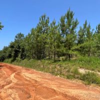 LA - Union 200 acres - images 4