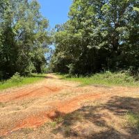 LA - Union 200 acres - images 5