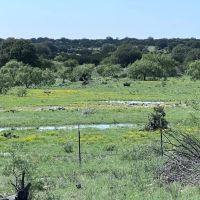 Texas Land for Sale in Sutton County near Sonora images 2