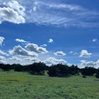 Texas Land for Sale in Sutton County near Sonora images 3