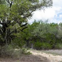 Birdtown Ranch images 2