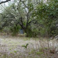 Birdtown Ranch images 4