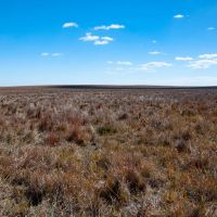 Bittman 150 CRP images 2