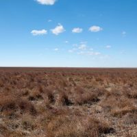 Bittman 150 CRP images 4