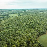 County Road 522 Freeburg Missouri images 4