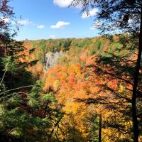 14 acre Hunting Land with River Views Lorraine NY