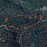 14 acre Hunting Land with River Views Lorraine NY images 4