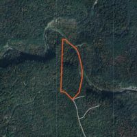 14 acre Hunting Land with River Views Lorraine NY images 5